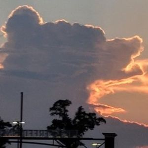 Meet your Posher, Rogelio